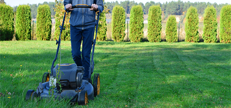 lawn mower